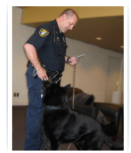 Police Dog Foster